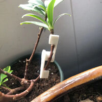 Adjustable LST - low stress plant trainer - bend plants to your will - adjustable angle - 0